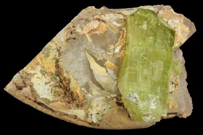 Lustrous, Yellow Apatite Crystal on Calcite - Morocco #84322
